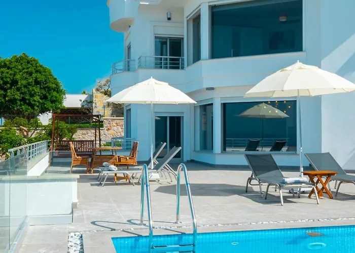 Valentino1 * Karabağ